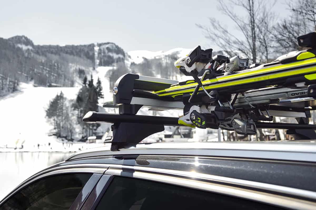 Држачи за скии Menabo - ICEBERG 4 91718 - слика 2