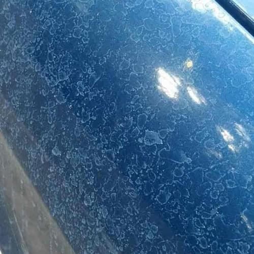 ПРОФИЛАЈН Отстранувач на Дамки(Бигор) 1л - 275300 - слика 4