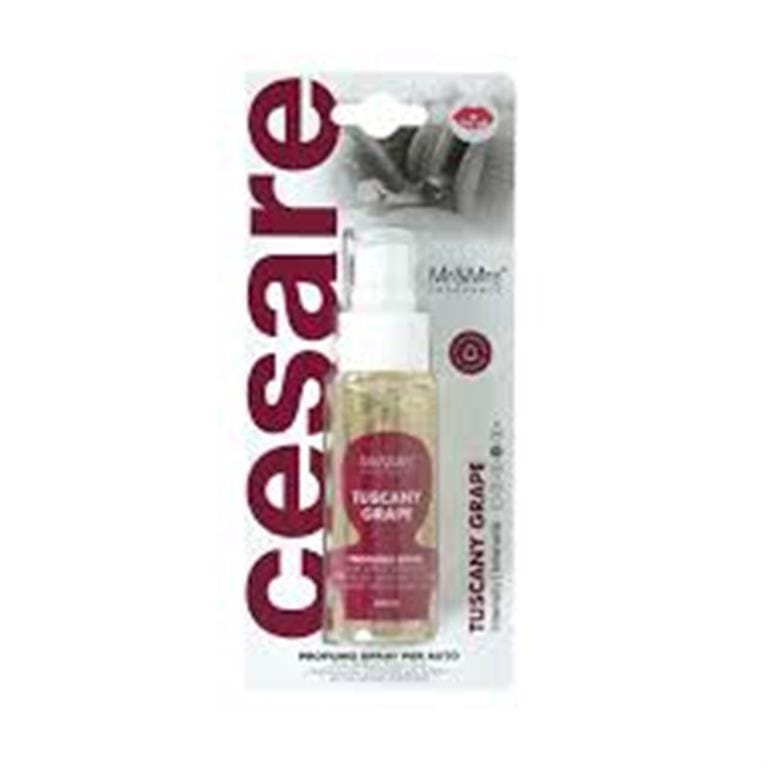 Освежувач CESARE Спреј Виолетов 50мл 299132